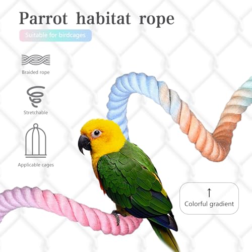 3pcs Gradient Colorful Bird Rope Perch Stand