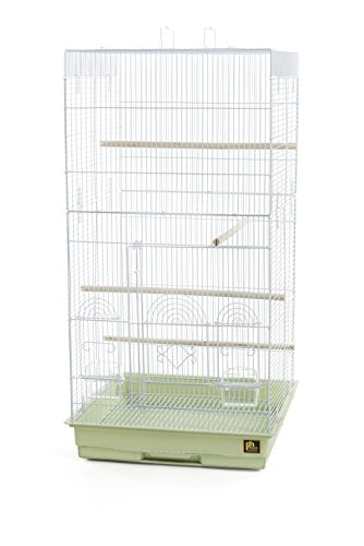 SPECONO1818H SG Tall Tiel Cage (Sage Green)