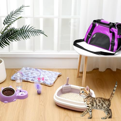 10 Pcs Kitten Starter Kit for Indoor (Cute / Medium / Purple)