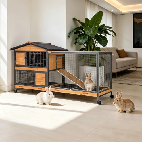 Rabbit Hutch 2 (Orange / 62.0"L x 22.6"W x 33.5"H)