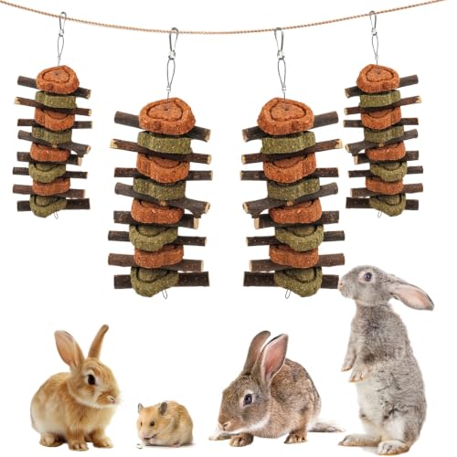 Rabbit Chew Toy