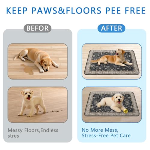 Washable Pee Pads for Dogs 2 Pack 24x36 (24"x36"(2 Pack) / B Black)