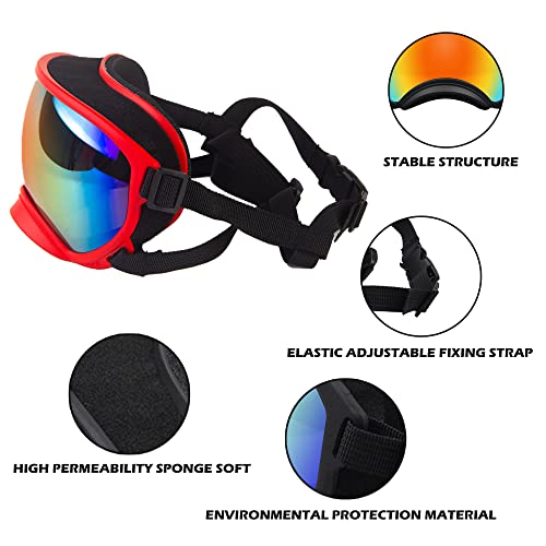 Large Dog Sunglasses