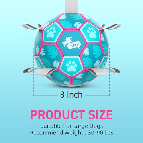 Dog Toys Soccer Ball with Straps (Lake Blue / Medium Size 2 (6 Inch))