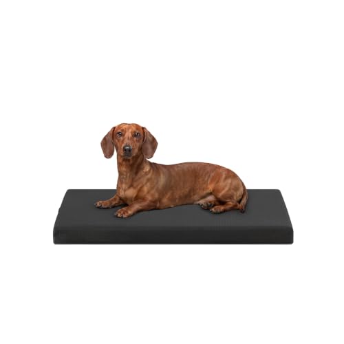 Tough Ripstop Orthopedic Crate Bed (Small (29" L x 18" W x 2" H) / Obsidian Black)