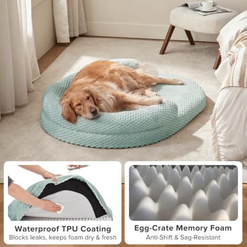 XXL Orthopedic Dog Beds (Green / XXL(48"x 35"x 7.5"))