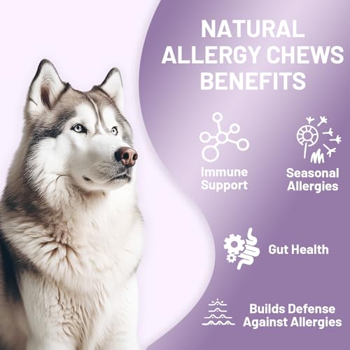 Allergy & Immune Soft Chews for Dogs