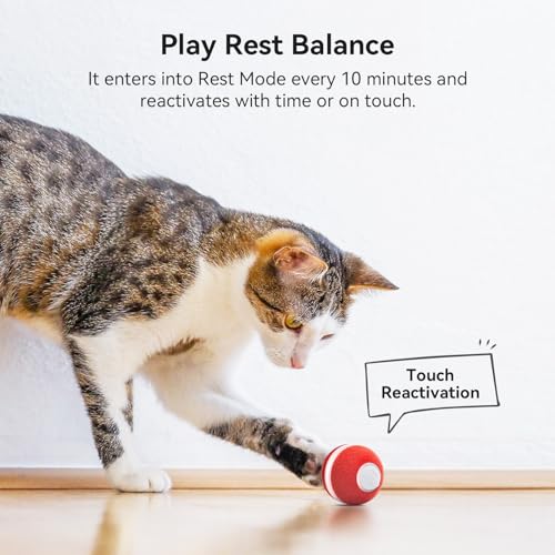 Interactive Cat Ball Toy (Red)