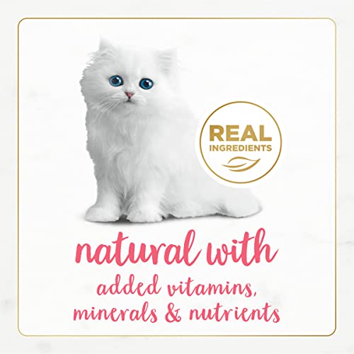 Purina Fancy Feast Grain Free Pate Wet Kitten Food (3 Ounce (Pack of 12))