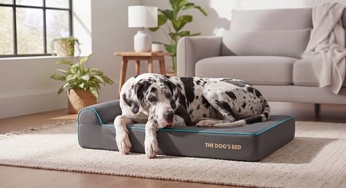 The Dog’s Bed Orthopedic Memory Foam Dog Bed with Headrest XXL 6 (Grey with Blue Trim / XXL (54"L x 36"W x 6"Th))