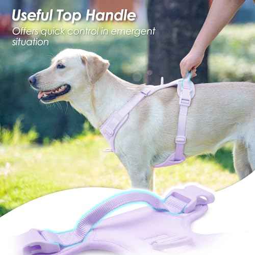 No Pull Dog Harness for Small Sized Dogs (Light Purple / XS(Neck:11.8-16.5", Chest:14.2-19.7"))