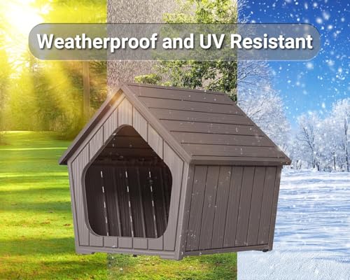 Outdoor Dog House (Grey / 23.43*22.64*22.8)