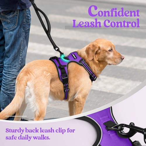 Dog Harness No Pull for Small Dogs with 2 Leash Clips (Small / Purple)