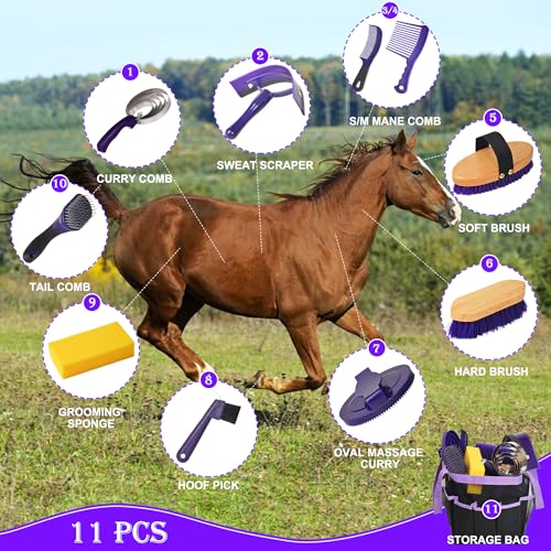 Horse Grooming Kit