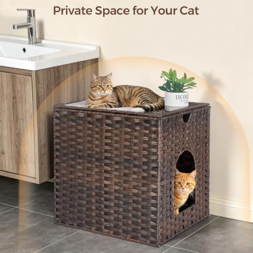 Cat Litter Box Enclosure (18.2'' L x 18.2'' W x 20.5'' H / Brown)