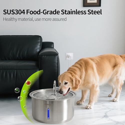 Dog Water Fountain