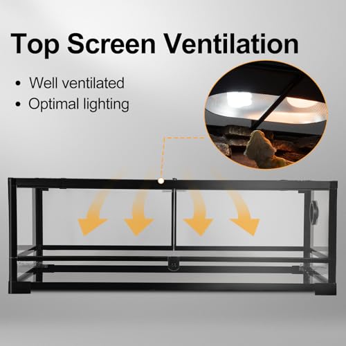 Tempered Glass Reptile Tank