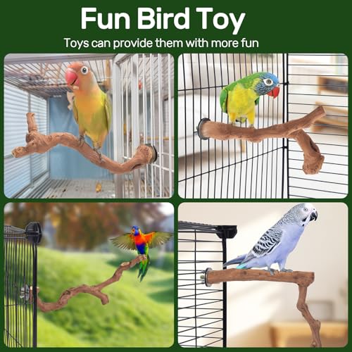 6 Piece Premium Bird Perch Stand with Natural Grape Wood Branch (Grape / 6Piece)