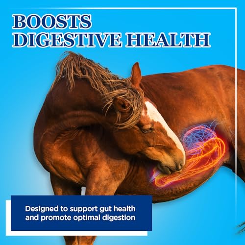 Equerry’s Large Animal Probiotic (5 lbs)