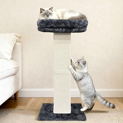 Cat Scratching Post with Plush Perch for Indoor Cats (Dark Grey)