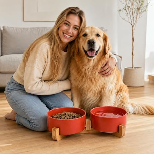 Ceramic Cat Dog Bowl Set with Stand (Rust Red / 850ML*2)