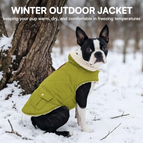 Waterproof Puffer Dog Coat Small Warm Plush Lining Winter Jacket (Small / Olive Green)