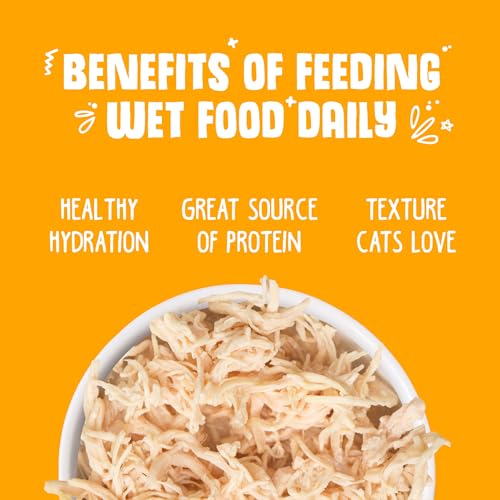 Classic Cat Food (3 Ounce (Pack of 4))
