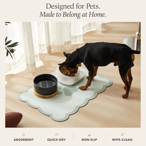 Scalloped Dog Feeding Mat (Green / 19"L x 14"W)
