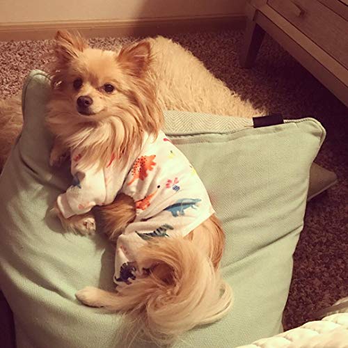 Dog Halloween Pajamas Puppy Onesies Small Dogs Soft Pjs Coat Cat Apparel Comfy Pet Christmas Clothes Outfit Doggie Bodysuit (Small / White Dino)