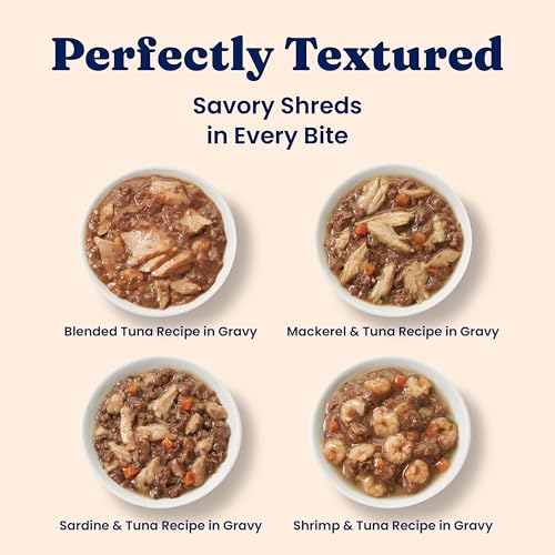 Wet Cat & Kitten Food (12 Pack)
