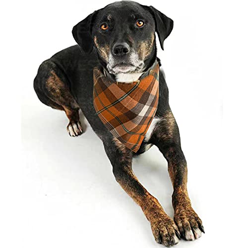 Fall Dog Bandanas 2 Pack (Orange / Large)
