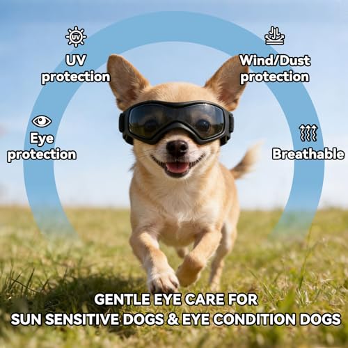 XS Dog Goggles for Extra Small Breed UV (X-Small / Black)