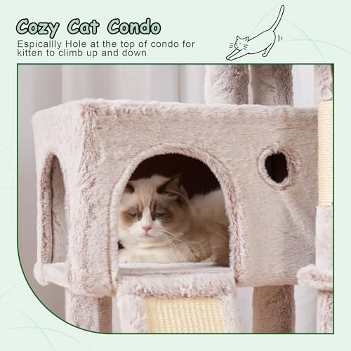 Cat Tree Tower 42'' with Condo (Muchroom / 42 inch)