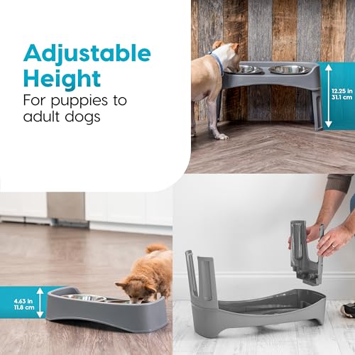 Elevated Dog Bowls (Gray)