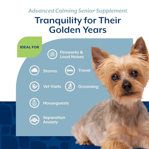 Senior Advanced Calming Aid Dog Supplement (60 Count (Soft Chews))