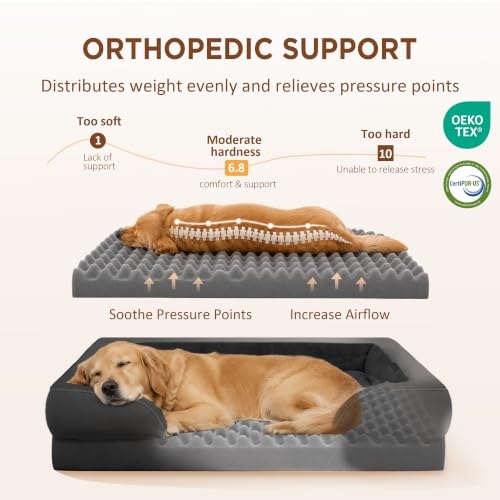Waterproof Orthopedic Dog Bed for Medium Size Dog (30.0"L x 20.0"W x 7.0"Th / Black)