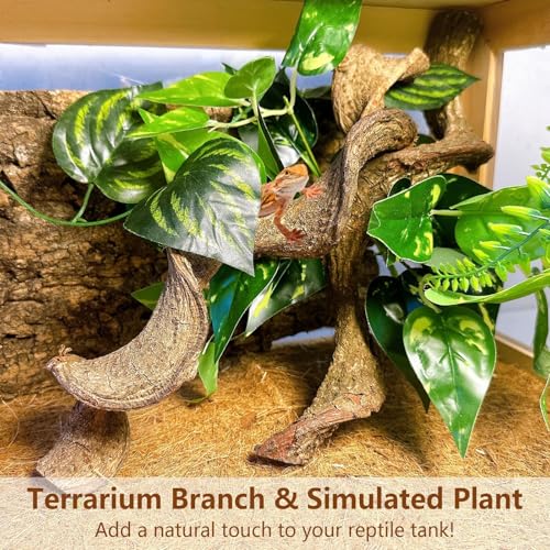 2PCS Natural Reptile Climbing Branches Decor (2PCS|M:1.25-1.75"T,13"H)