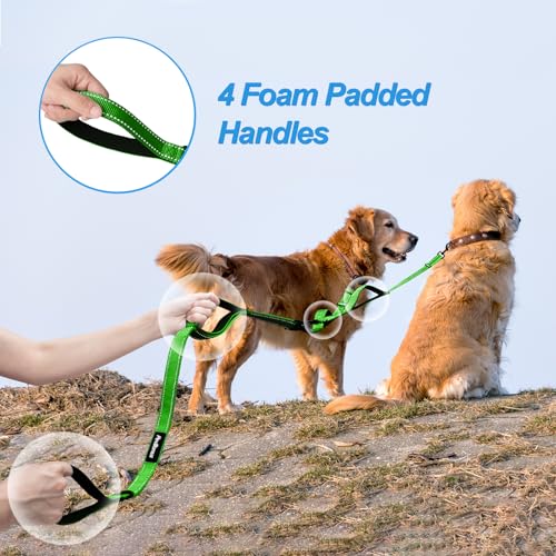Double Dog Leash (Grass Green)