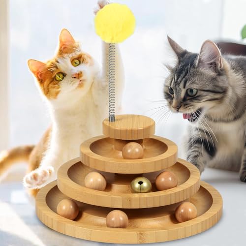 Cat Ball Track (Large - Standard)