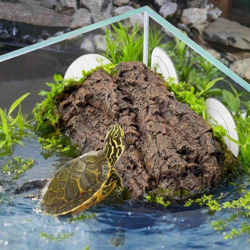 Turtle Basking Platform with Strong Suction Cups (Platform)