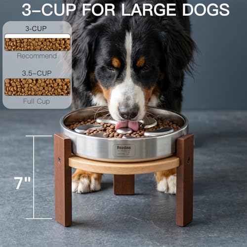 Elevated Dog Bowl Stand (8" Height 4-Cup Slow Feeder)