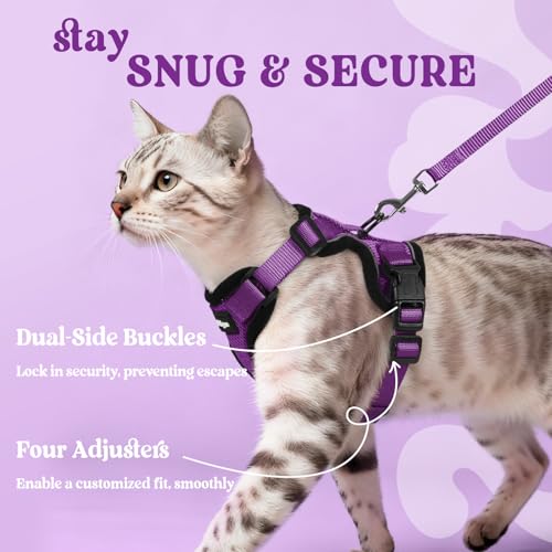 Cat Harness and Leash Set (Xxs / Purple)