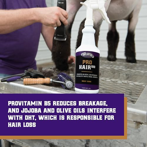 ProHair100 Healthy Hair and Wool Rejuvenating Livestock Hair Conditioner for Sheep (1 Quart)