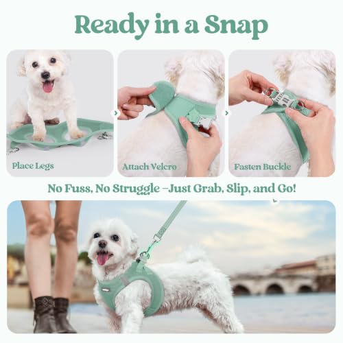 Dog Harness Medium Sized and Leash Set (Moss Green / M (chest: 16 - 18.5"))