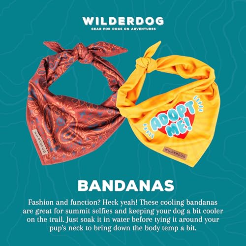 Dog Bandana with Lightweight Quick Drying Poly (Agave)