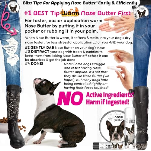 Boston Terrier Nose Butter (Boston Terrier / 16 Ounce)