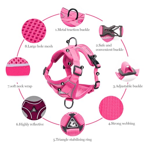 cat Chest Harness and Leash (rose red / XL:16.5-22.04lb)