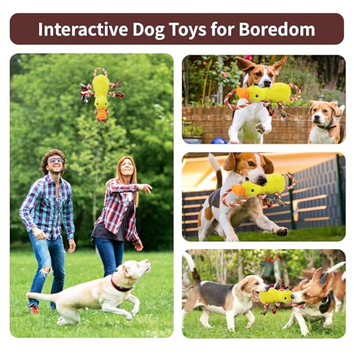 Tug of War Dog Toy (Yellow Duck)