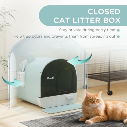 Cat Litter Box with Lid (Green)