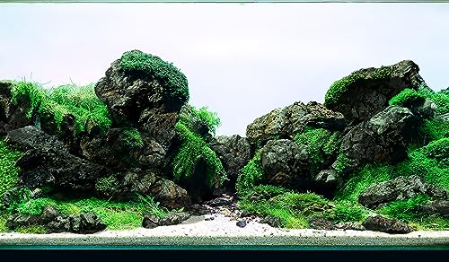 Icelandic Lava Rock 18lb Aquarium Rocks Stones for Fish Tank (13 Black Icelandic Lava Stone(3-9 inches,18lbs))